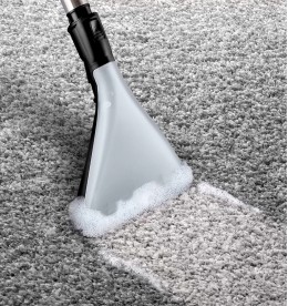 Моющий пылесос Bosch BWD421PET